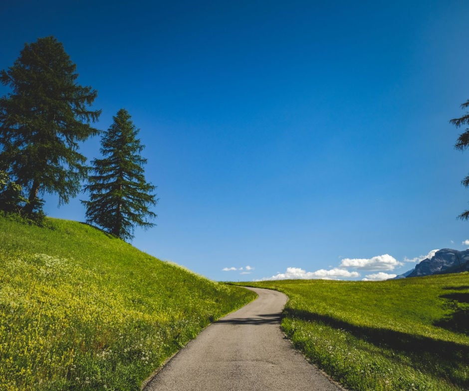Winding paved path through a green meadow beneath a clear blue sky, with tall trees and distant mountains on the horizon.
