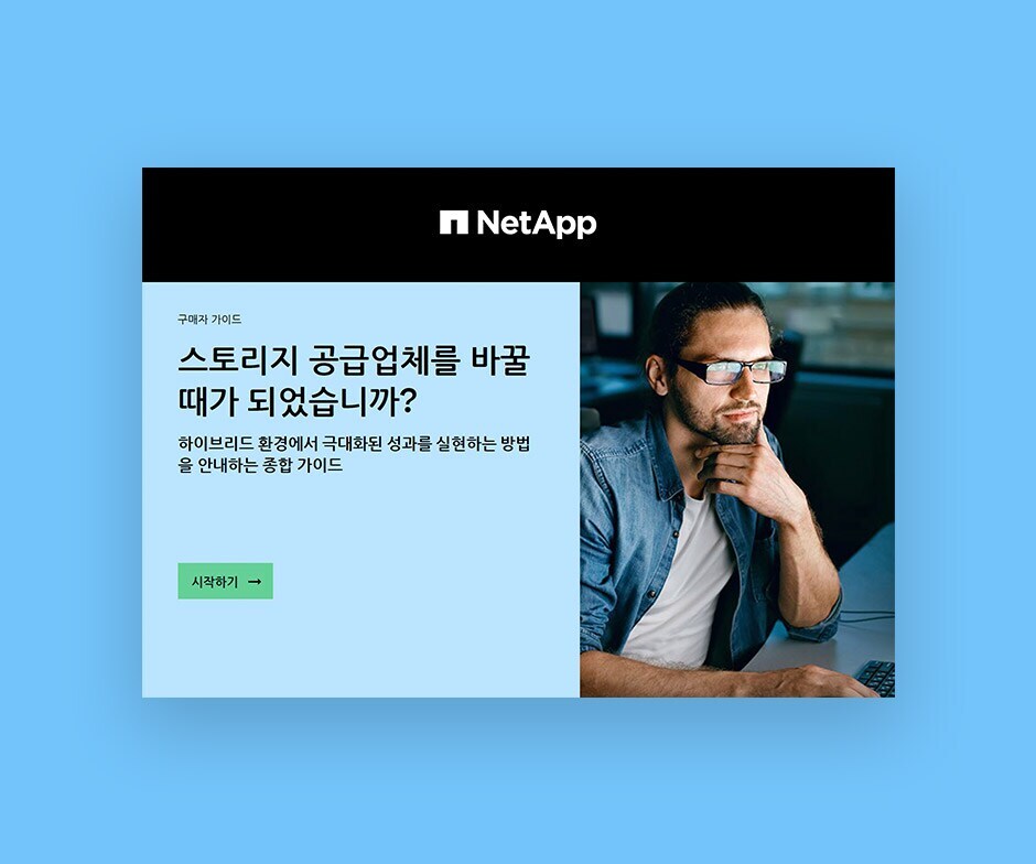 NetApp PDF