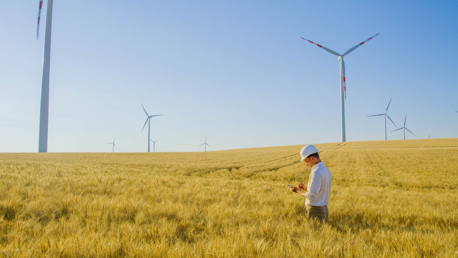 personne analysant des données au milieu d'un parc éolien