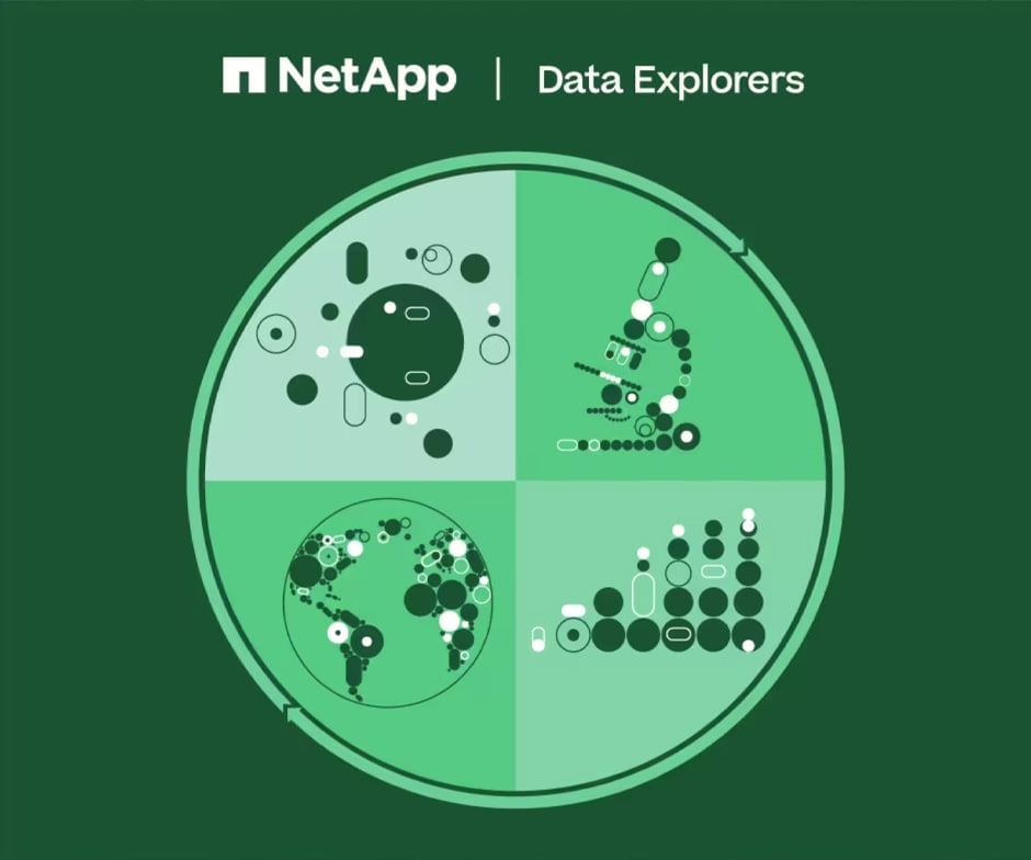 Data Explorers logo