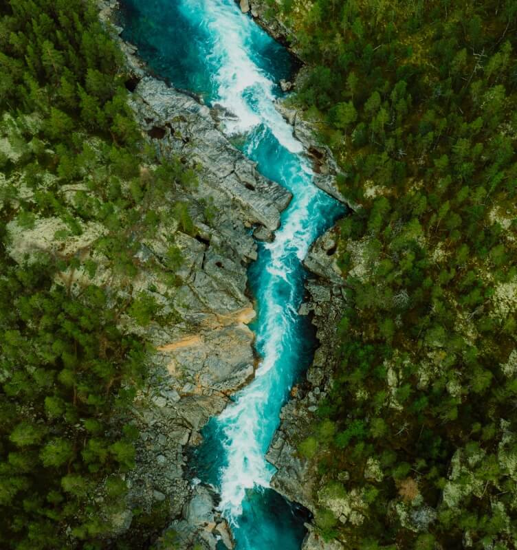 river flowing through green mountain forest