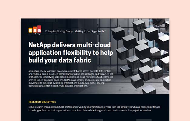 PDF NetApp entrega multinube