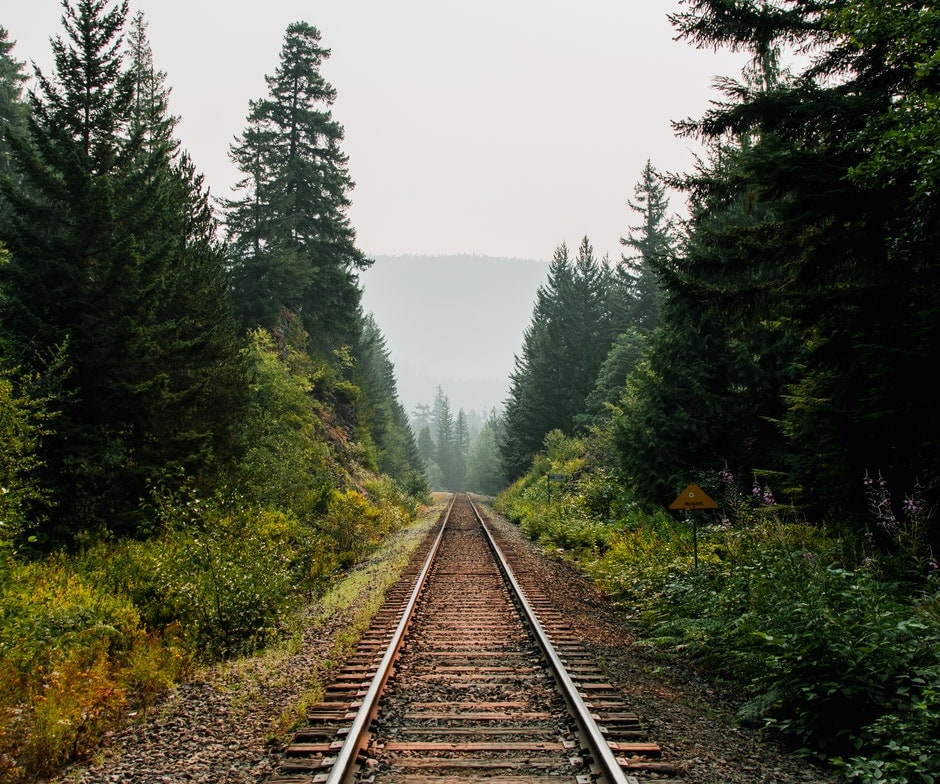 Train tracks in the forest