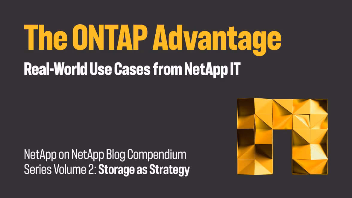 Image : Storage as strategy