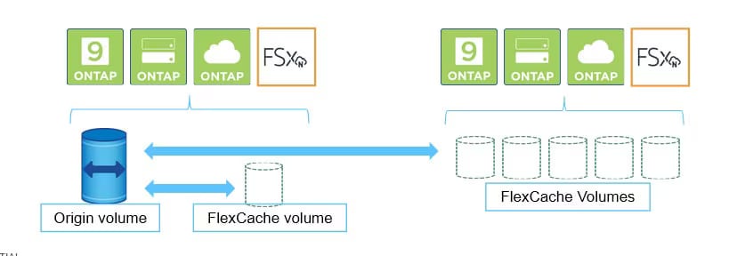 FlexCache1