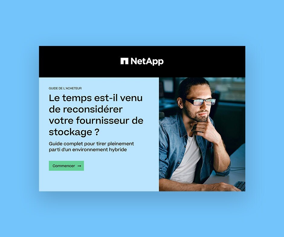 PDF NetApp