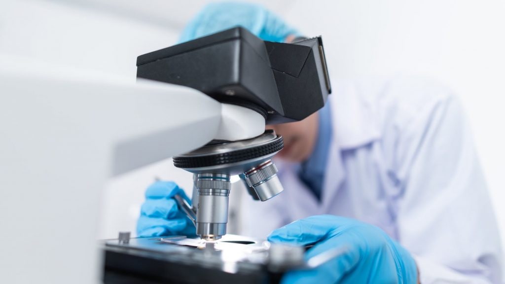 Simple and Scalable Digital Pathology Analysis with AI on NetApp E-Series