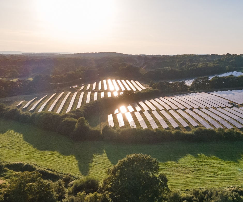 ferme de panneaux solaires au milieu de la végétation ensoleillée