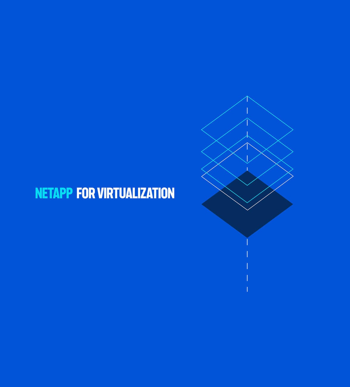 NetApp for Virtualization