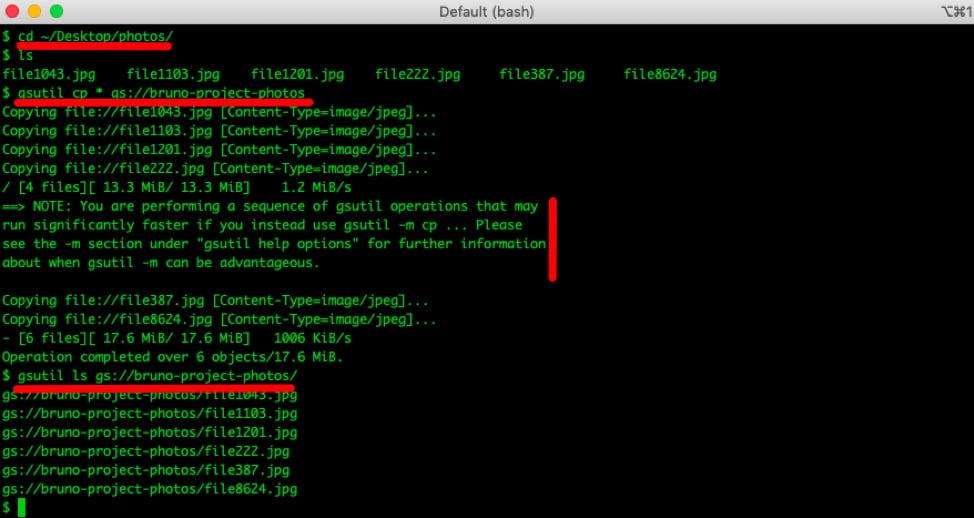 Copying multiple files using gsutil
