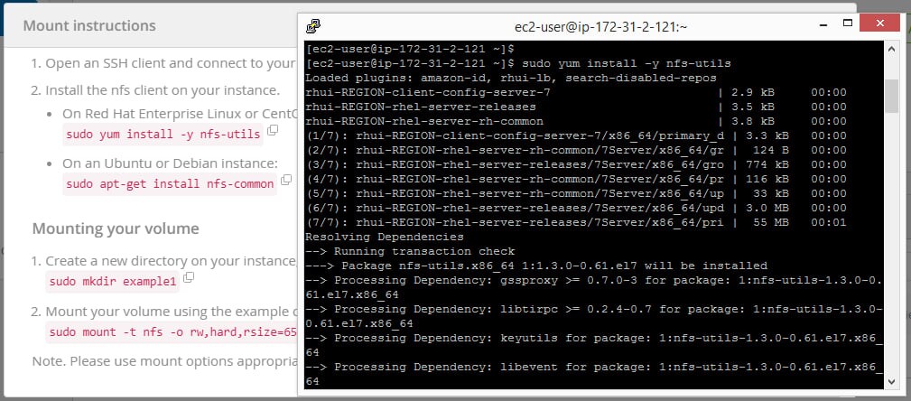 In this example, we mounted this volume from a Red Hat 7.6 instance. To do that, you first need to install the NFS client on your Red Hat Linux instance.