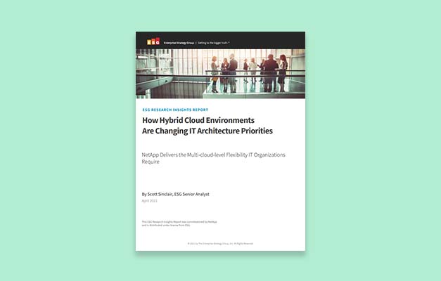 NetApp PDF