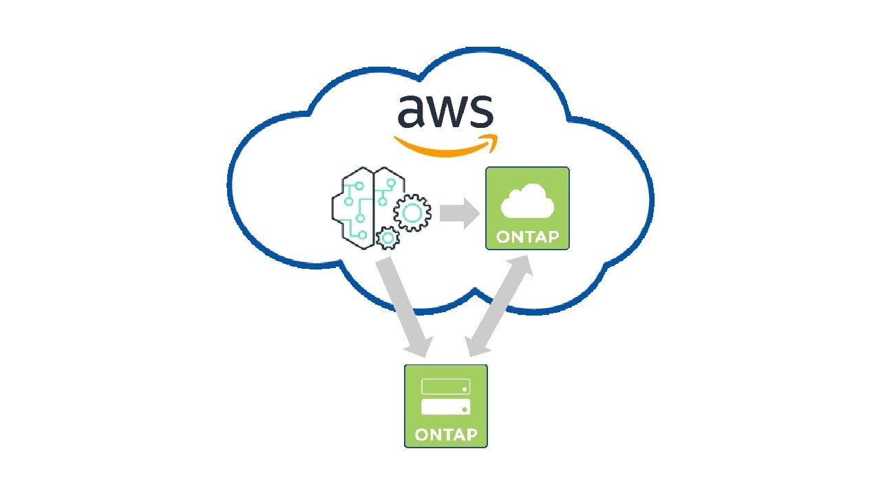 figure 2 ONTAP NAS