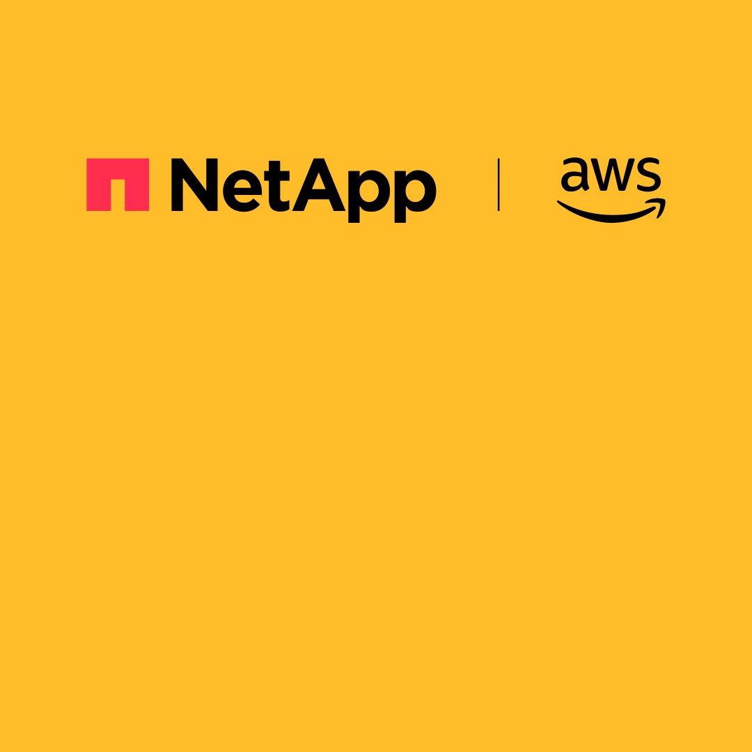 NetApp AWS 锁定