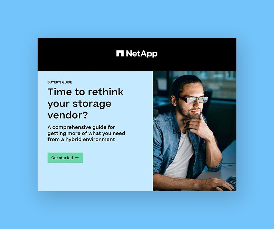 NetApp PDF
