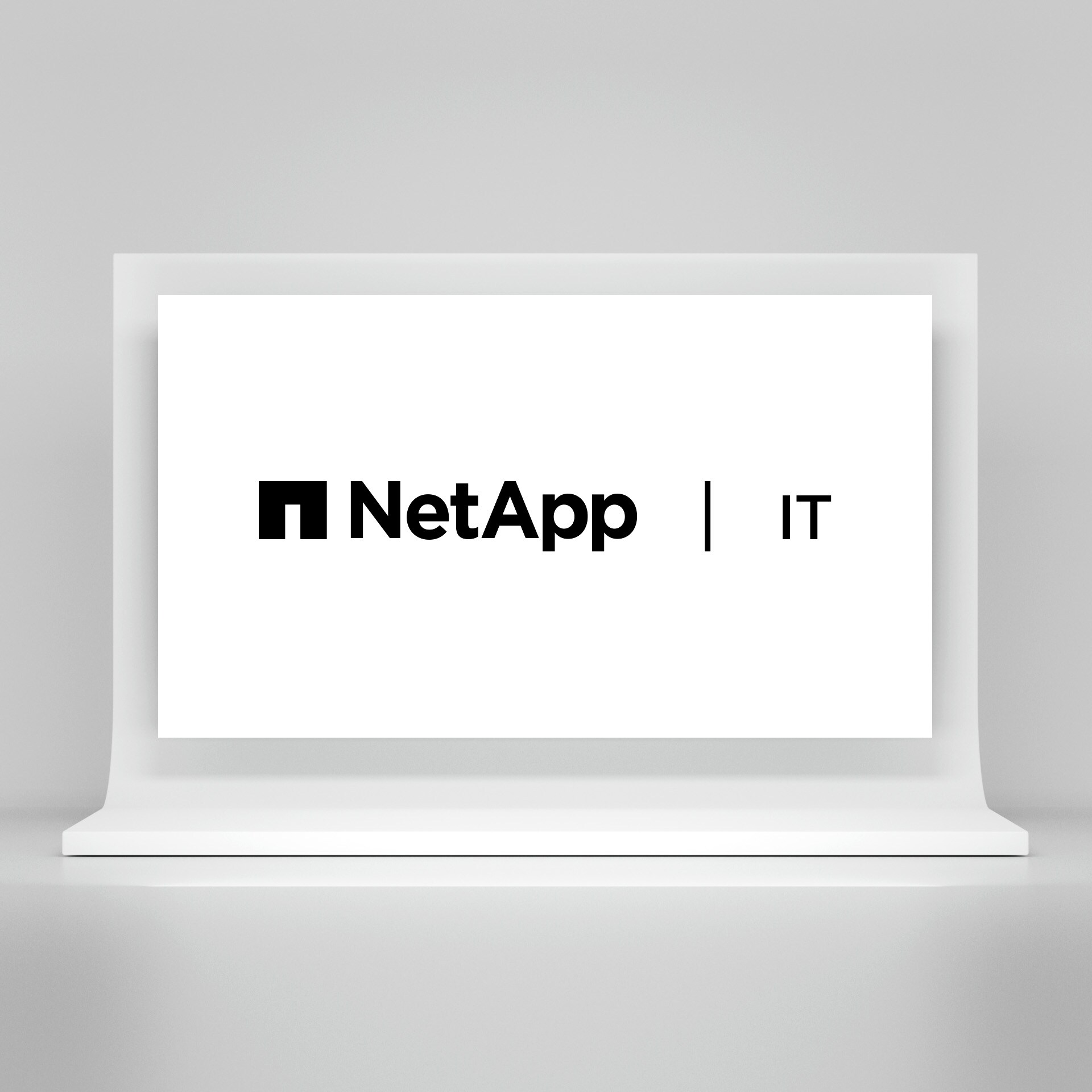 NetApp | IT-Logo