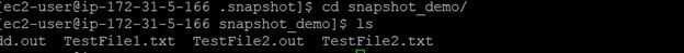 View the list of available files when the Snapshot copy was created