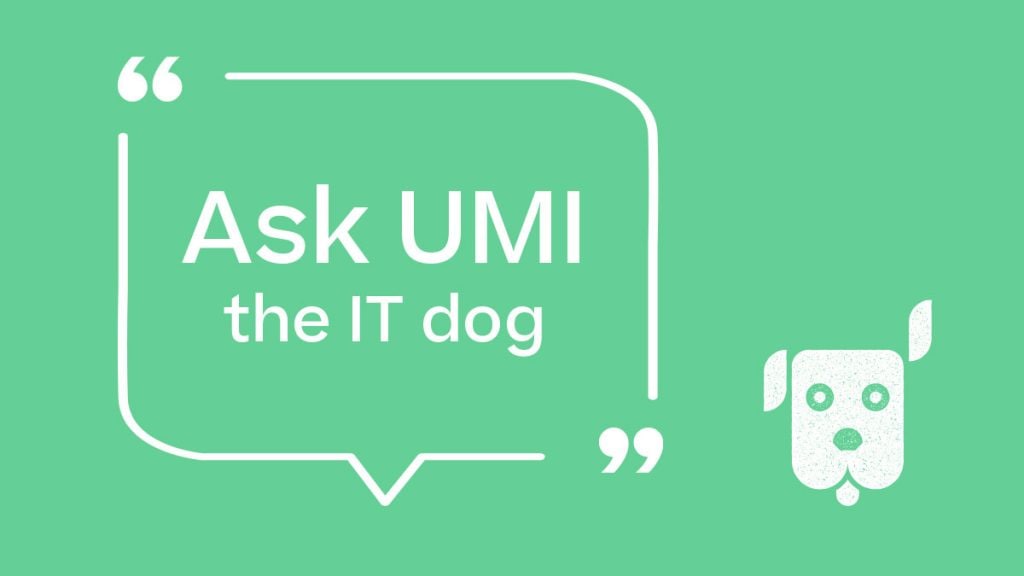 Ask Umi the IT dog