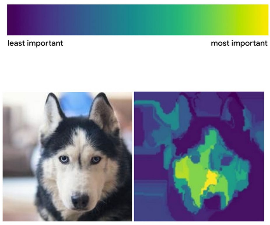 comparaison husky