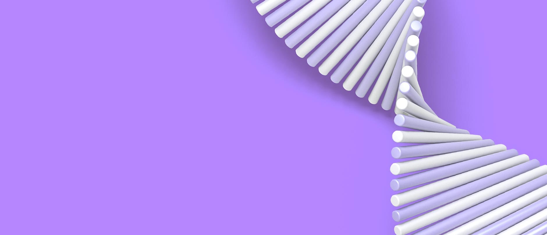 Purple and white lines creating the shape if DNA on a purple background