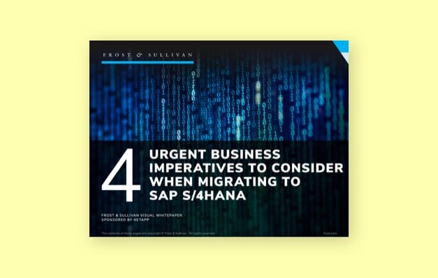 Data Migration Analyst White Paper