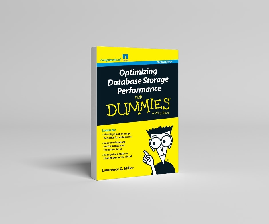 Dummies bookのサムネイル