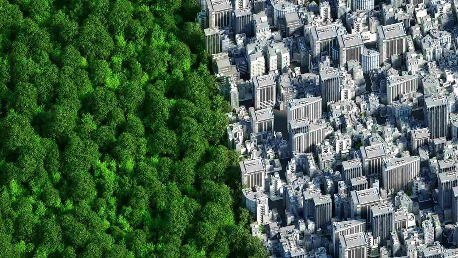 綠色森林和建築物影像並排