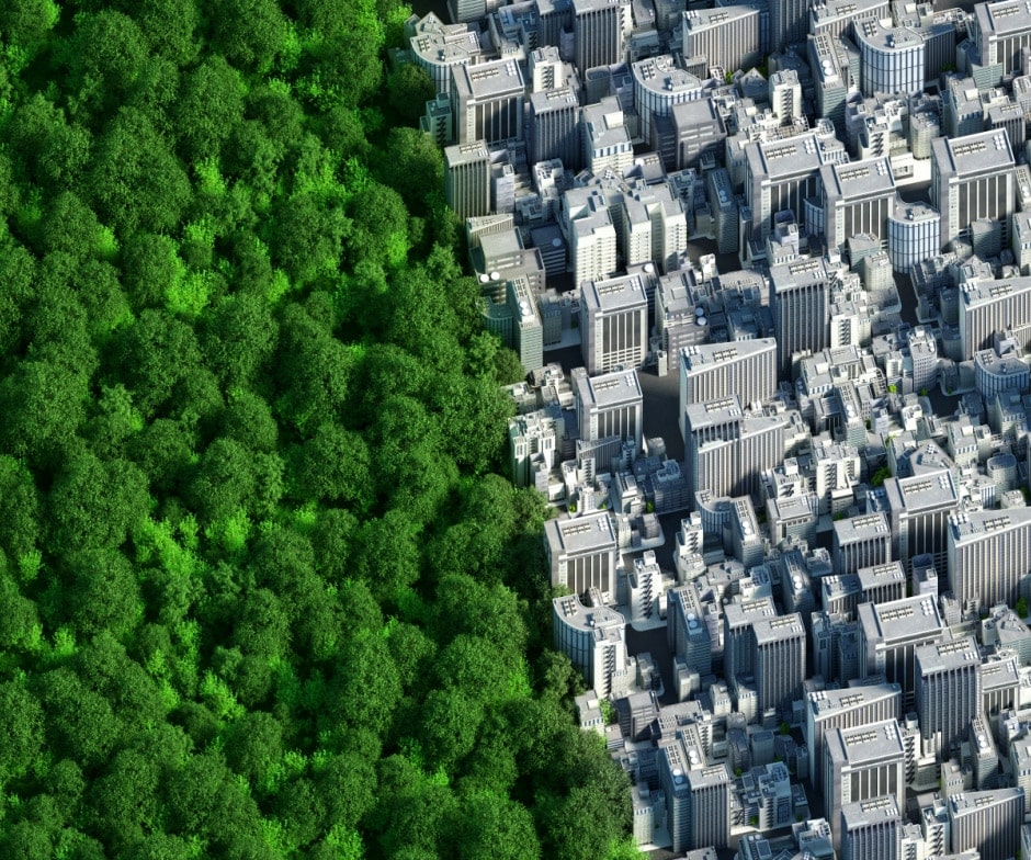 arial view of the border between a forest and dense cityscape