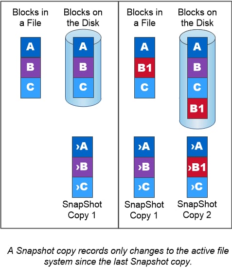 active file system