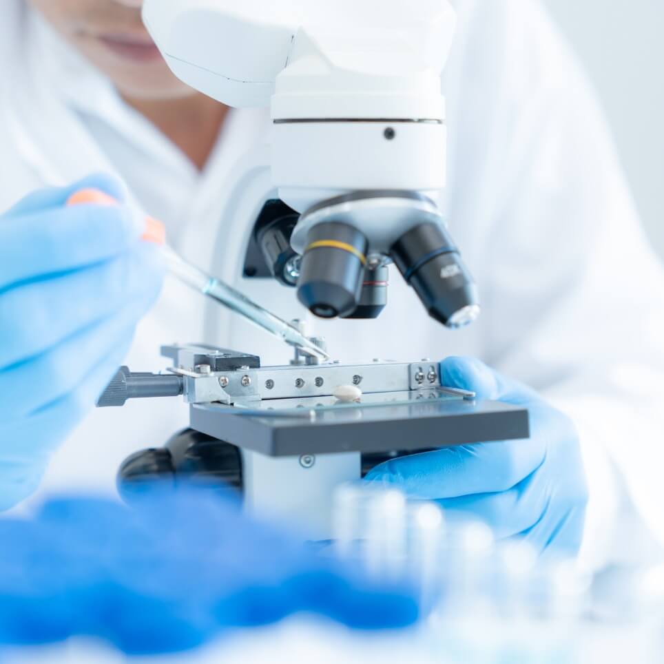 Vista de laboratorio