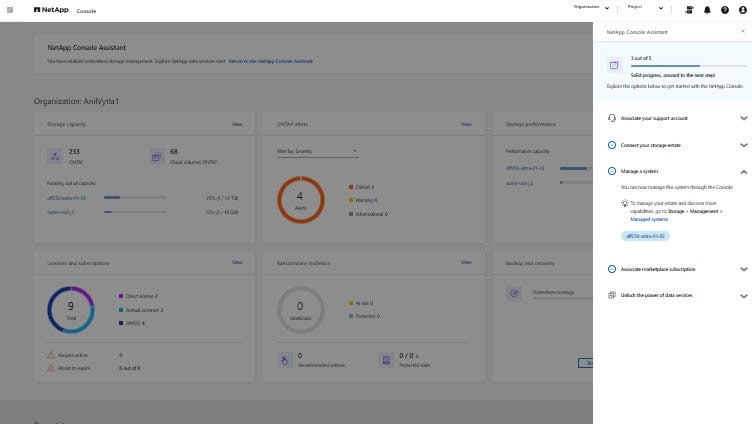snapshot do netapp console
