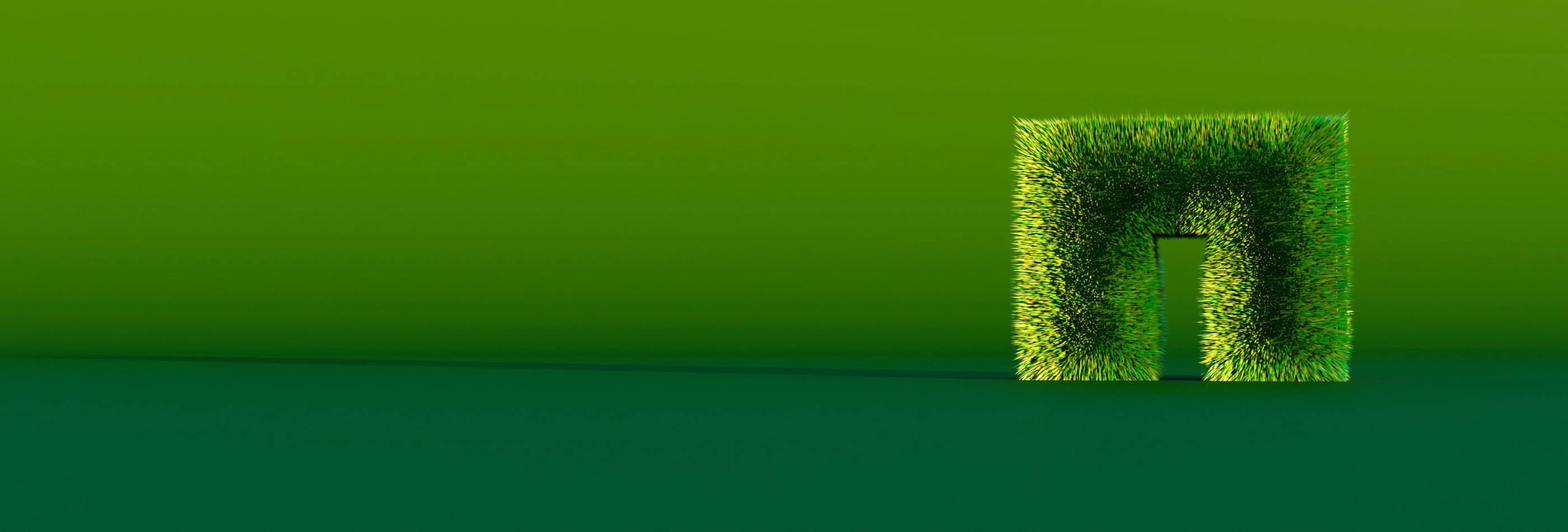NetApp N logo, made with grass