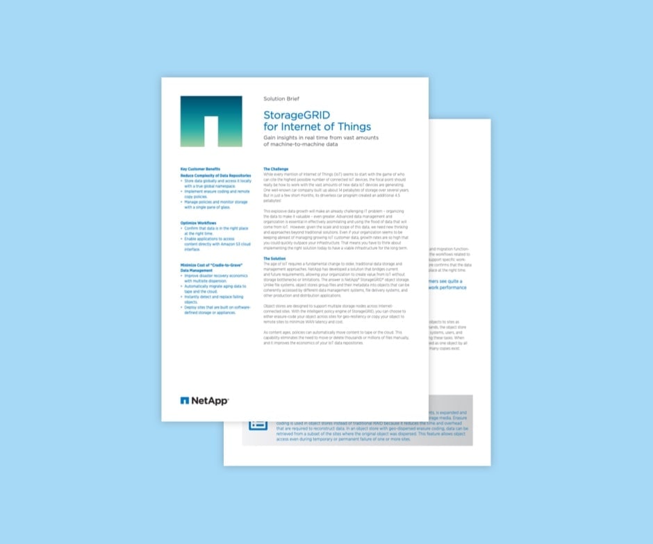 PDF NetApp