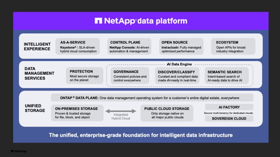 NetApp Piattaforma dati