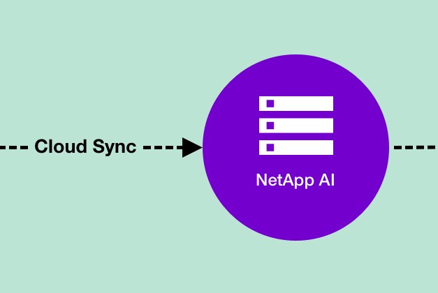 step 3 NetApp AI