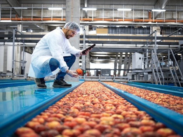 fruit production line
