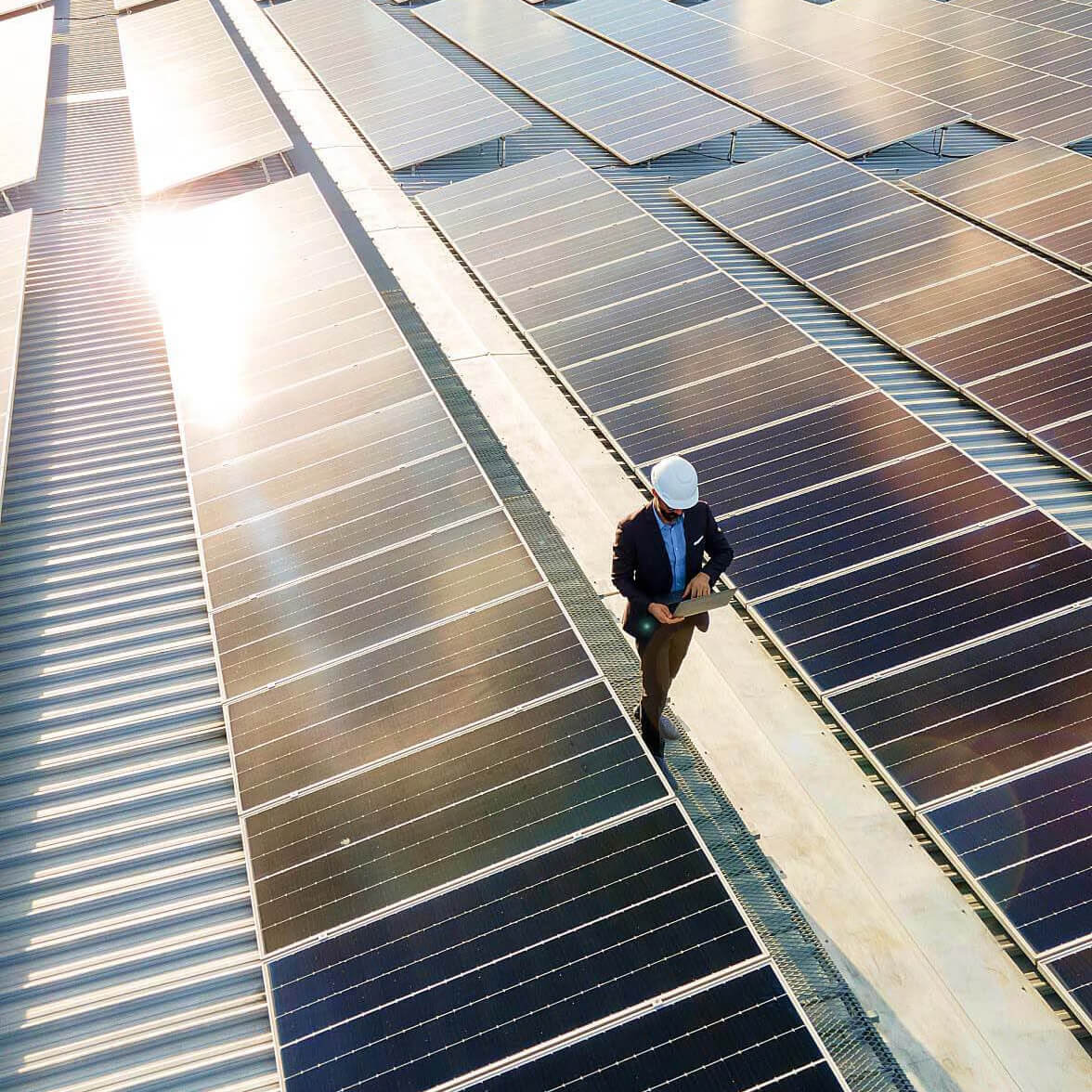 personne marchant le long de panneaux solaires