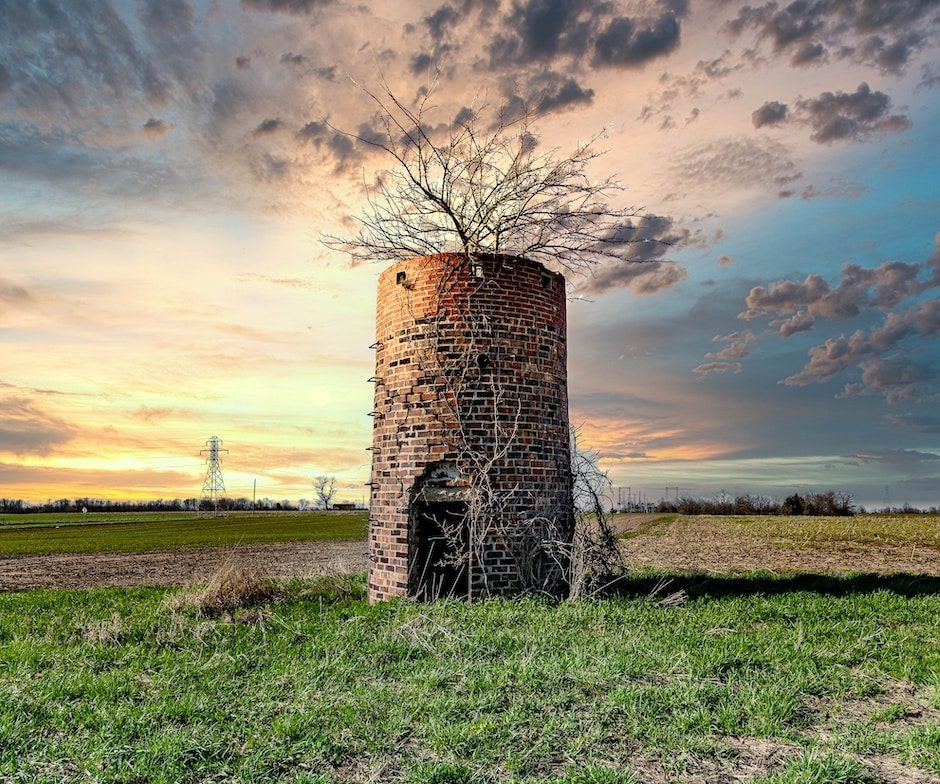 dry tree emerging from abandon cylindrical shape building